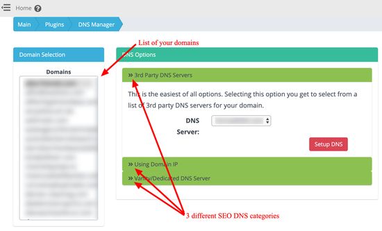 Smart SEO DNS Manager - Main interface